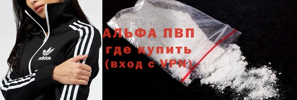 spice Аркадак