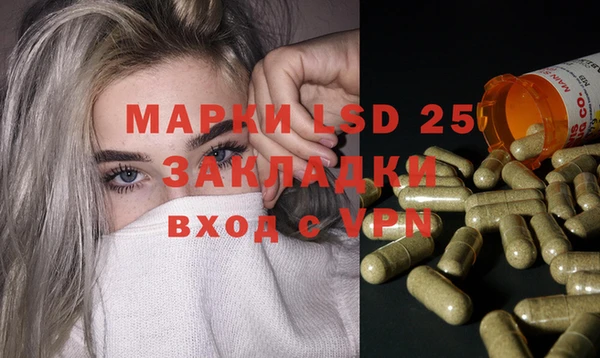 spice Аркадак