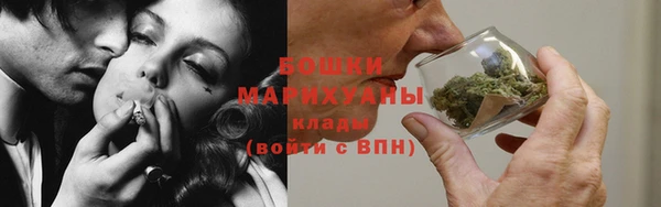 spice Аркадак