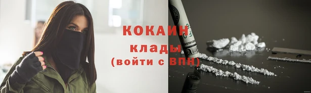 spice Аркадак