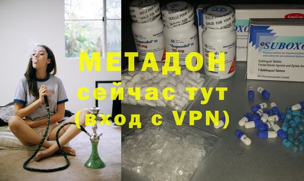 прущие грибы Армянск
