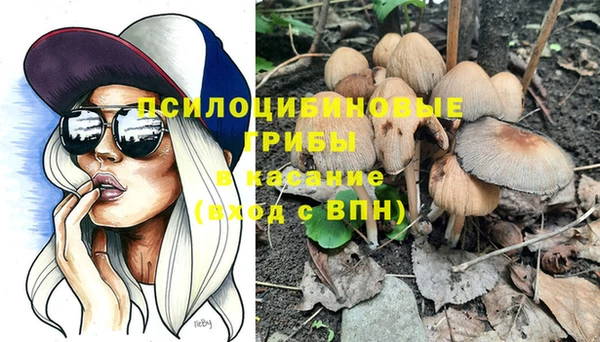 spice Аркадак