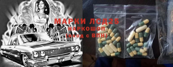 прущие грибы Армянск