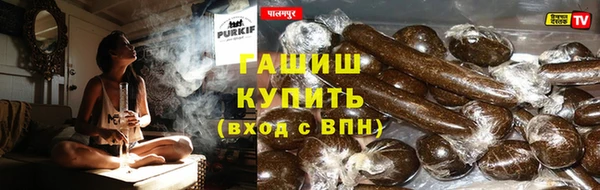 spice Аркадак