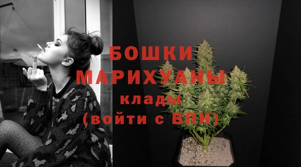 spice Аркадак