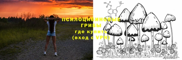 spice Аркадак