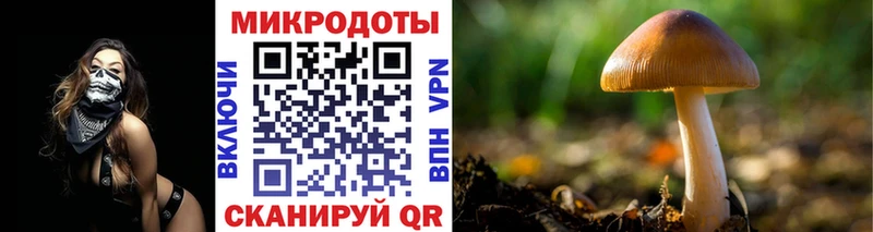 Галлюциногенные грибы GOLDEN TEACHER  Пыталово 